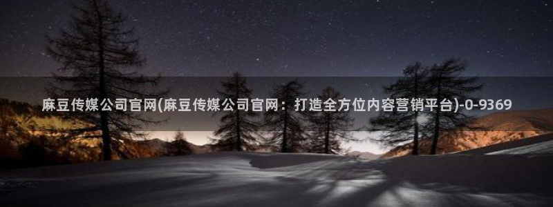 麻豆视频可读内容