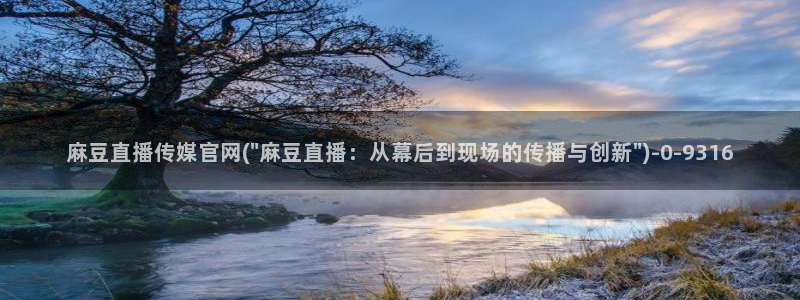 麻豆榜单描述