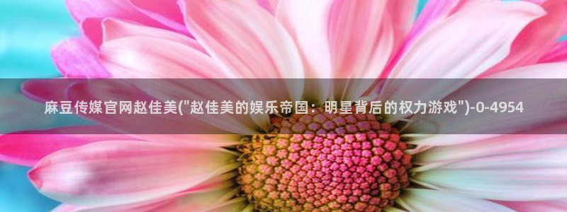 麻豆视频下载