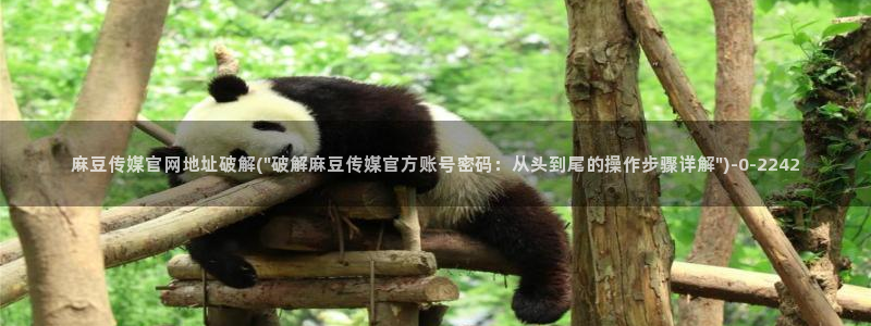 麻豆视频页面描述：麻豆传媒官网地址破解(\