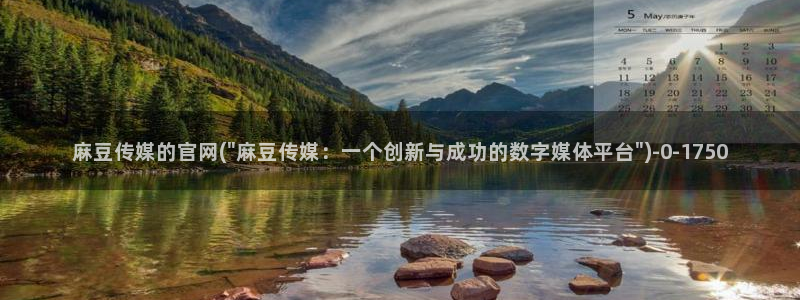 麻豆视频首页文案：麻豆传媒的官网(\