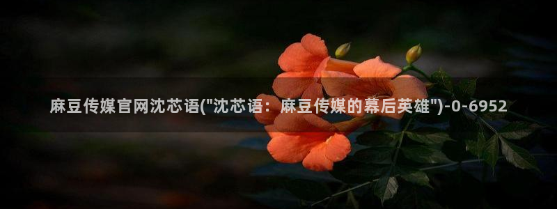 麻豆视频分类名称：麻豆传媒官网沈芯语(\
